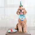 ADOGGYGO Dog Birthday Hat, Blue Birthday Boy Bandana with Bow Tie