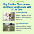 Pet Wellbeing More Mushrooms Bundle for Dogs - Immune System Support