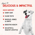 Stella 3.5Lb Raw Coated Puppy Kibble