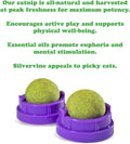 Meowijuana Stick 'n' Lick Catnip Balls, 2-Pack | Purrple Passion