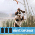 Weewooday 24 Pieces Shock Collar Dog Rubber Tips Training Collar Replacement Parts Silicone Covers for Training Rubber D