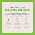 VetIQ Cat Probiotic Powder, Treats Diarrhea and Food Sensitivity, Chicken Flavored Single-Serve Packets for Indoor/Outdoor Use, 30 Count