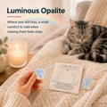 Pet Loss Sympathy Gift, Opalite Paw with Rainbow Bridge Card, in Loving Memory Keepsake, Pet Bereavement Comfort Gift, P
