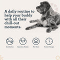 Kradle Calming Chews for Dogs, Anxiety Support, L‑Theanine, GABA, 75 Chews