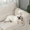 IMMCUTE Dog Diapers Male Small 50 Ct, Male Dog Diapers Disposable with Wetness Indicator, Adjustable Puppy Diapers Male,