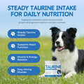 Taurine Powder Supplement for Dogs, Heart Function, Muscle & Metabolism