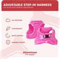 Downtown Pet Supply Step-in Dog Harness – No Pull, Adjustable Padded Mesh with Reflective Trim, Secure Buckle Strap – Co