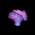 Lpraer 4 Pack Glow Aquarium Decorations Coral Reef Glowing Mushroom Anemone Simulation Glow Plant Glowing Effect Silicon