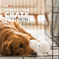 ALL FOR PAWS Heartbeat Dog Toy for Puppy - Dog Anxiety Relief & Behavioral Training | Puppy Heartbeat Stuffed Animal Plush Toy | Perfect for Dog Sleep Aid