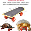 11PCS Tortoise Starter Kit with Feeding Toys, Tortoise Bathing Pool, Water & Food Dish Set, Turtle Shell Cleaning Brushe