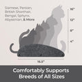Accessory ADD-ON Set of 4 Facades Covers Compatible with Cat Wall Shelves by Pryde Pets - 100% Sustainable PET Felt - Climbers Sold Seperately - Cats Shelf Privacy and Safety Bumpers (Charcoal)