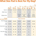 Amazon Basics Leak-Proof Dog and Puppy Potty Training Pee Pads with Quick-Dry 5-Layer Super Absorbent Design, Regular Size 22 x 22 inch, Blue & White, 100 Count