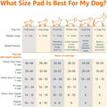 Amazon Basics Scented Dog and Puppy Potty Training Pee Pads, 5-Layer Leak-Proof Super Absorbent with Quick-Dry Surface, Regular Size 22 x 22 Inch, Blue & White, 50 Count