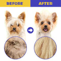 CAPHONT Flea Comb for Cats with Handle, 4 Pcs Flea Brush Tear Stain Comb Grooming Face and Matted Hair Paws Pet Lice Com