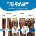Best Bully Sticks Braided Bully Sticks Dog Chews, 12", 3 Count