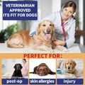 Inflatable Reflective Dog Cone Collar Alternative After Surgery,Doggie Recovery Dount Neck Ecollar,Adjustable Soft Dog C