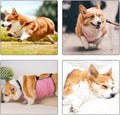 Permeable Dog Belly Bands Washable Pet Belly Covers Regulable Belly Bands for Small to Large Dogs