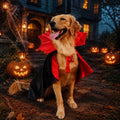 Golden Retriever Halloween Costume, Extra Large Dog Vampire Cape Cloak for Great Dane German Shepherd, Big Dog Halloween
