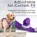 ThinkPet No Pull Harness Breathable Sport Harness with Handle-Dog Harnesses Reflective Adjustable for Medium Large Dogs,
