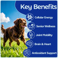 NAD+ for Senior Dogs Longevity Powder with CoQ10 + NR 150mg + NMN 75mg