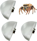 3 PCS Jumping Spider Feeding Dish, Tiny Food Dishes Water Dish for Jumping Spider, Tarantula and Other Small Pets, Half 