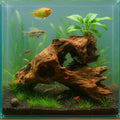 emours Porous Natural Driftwood for Aquarium, Aquascaping Driftwood with Holes, Hand-Selected Tunnels & Hideouts, Aquasc