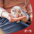 Marshall Pet Products Furo-Vite Highly Nutritious Vitamin Supplement Paste, for Ferrets of All Ages, for Training and Su