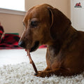 Redbarn Bully Slims 100% Natural Premium Beef Esophagus Dog Treat, 4.7oz