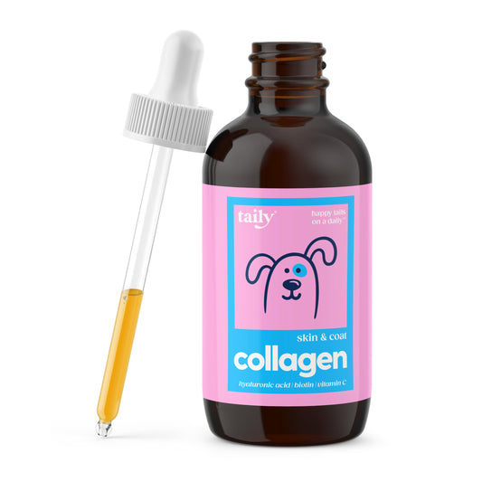 Taily Liquid Collagen for Dogs Skin and Coat Supplement, Cats | Taily Liquid Premium Grass-fed Collagen | Itch Relief for Dogs with Allergies, Biotin, Vitamin C and Hyaluronic Acid | Made in USA