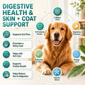 ZEBORA Probiotics for Dogs & Cats, Dog Probiotics for Digestive Health, 6 Billion CFUs Digestive Enzymes with Prebiotics, Omegas & Vitamins for Gut & Itchy - 120 Chews