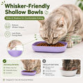 Cat Bowls, Zoenif 10 Pack Whisker Friendly Cat Dishes with Storage-Purple