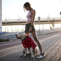 Plaid Dog Shirt Red Buffalo Dog Outfit Soft Casual Pet Clothes for Small Medium Large Dogs Puppy Cats Halloween Thanksgi