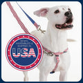 2 Hounds Design Freedom No Pull Dog Harness and Leash, 1" LG