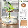 Desktop Betta Fish Bowl Glass with Wood Lid and Bamboo Stand Small Fish Bowl Hydroponic Plant Terrarium Aquarium Starter
