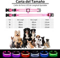 PcEoTllar Light up Dog Collar, Safe for Night Walking, Adjustable, Pink, M