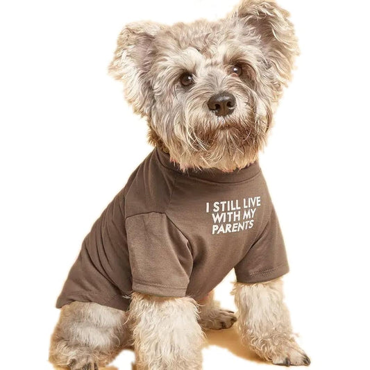 Cute Dog Clothes, T Shirt for Medium and Small Dogs Girl Boy,Puppy.Breathable Soft Dog Costume for Pet Dogs Cats, Pet Pullover Jumper, Cat Clothes (L-(10~17lb), Chest~18", Khaki)