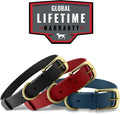 Tuff Pupper Heavy Duty Waterproof Dog Collar for Small, Medium & Large Dogs