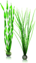 Large/Green