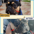 Paste for Bulldogs Wrinkle, Paw Balm & Dog Wound Care