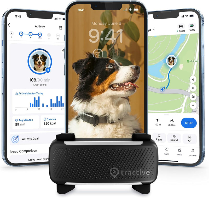 Tractive Smart Dog GPS Tracker | Live Pet Tracker with Virtual Fence | Vital Signs Monitoring of Heart & Respiratory Rat