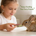 Abizoo Rabbit Chew Toys 9 Pack, Natural Timothy Hay Oat Bunny Treats Snacks