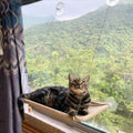Cat Window Perch,Cat Hammock Window Seat Bed Space Saving Design 360° Sunbath Holds Up to 50lbs for Any Cats Size