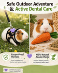 3Pcs Guinea Pig Carrier Sling with Adjustable Strap