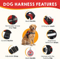 Service Dog Vest, ID Tag and ADA Info Cards - Harness in X Small to XX Large, Durable Metal Tag, 2-Sided Service Animal Cards. ESA Accessory Set