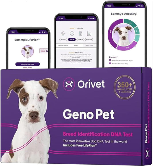 ORIVET GenoPet Dog DNA Test, 365+ Breeds, Health, Ancestry, Easy Cheek Swab, Results in 3–5 Weeks
