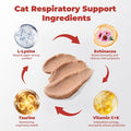 Lysine for Cats, Helps Reduce Sneezing, Coughing, Runny Nose & Upper Respiratory Treatment – Taurine + Echinacea Immune Support – Cat Cold, Asthma & Nose Relief – Respiratory Support Bars