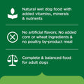 Nutrish Chicken Wet Dog Food Chunks in Gravy, 13 oz. Pack 12 (Rachael Ray)