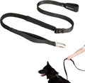 Hands Free Dog Leash Adjustable Versatile Crossbody Waist, Black