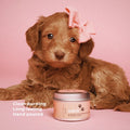 Pet Safe Wax Melts | Non Toxic Soy Wax Cubes for Warmers | Odor Eliminating Home Fragrance | Natural, Paraffin-Free, Lon