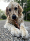 hotspot pets Braided Bully Sticks for Dogs -6 Inch Stix (10 Pack) Premium All Natural Long Lasting, Low Odor, Twisted Be